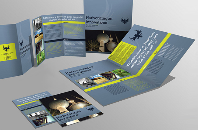 Brochures Flyers